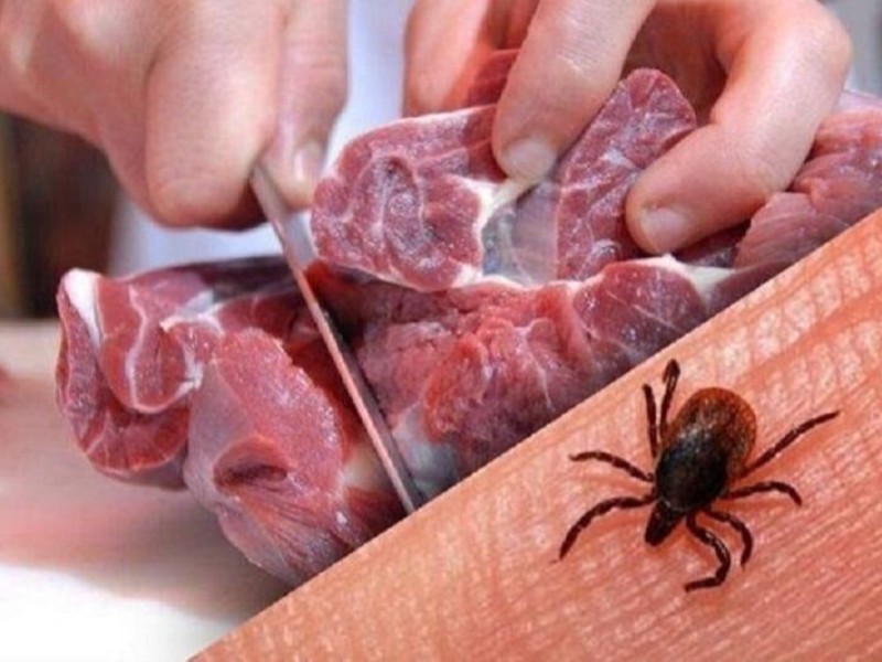 شناسایی یک مورد تب کریمه در ایلام