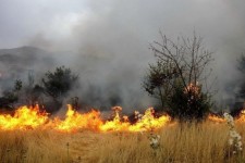 آتش‌سوزی در مزارع غلات زرنه ایوان مهار شد