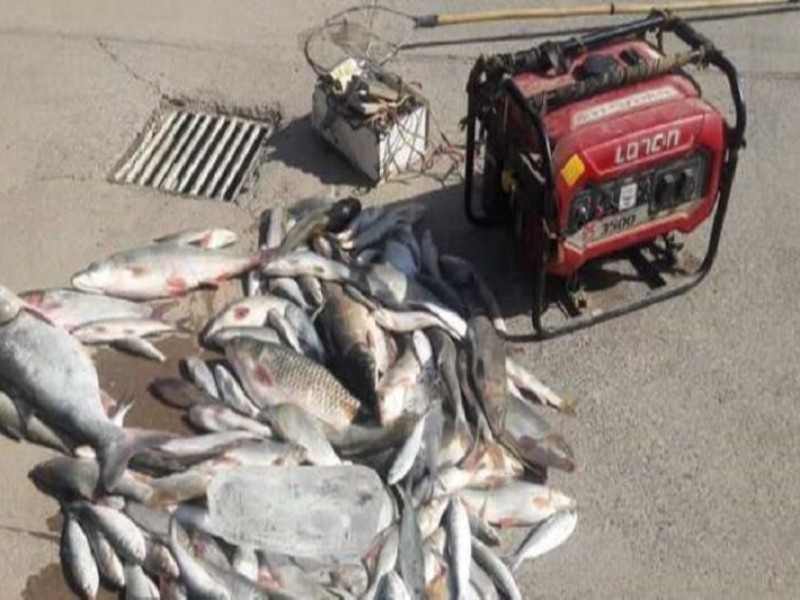 ماهیگیری غیراصولی جان یک نفر را گرفت