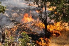 آتش‌سوزی ۴ منطقه ایوان مهار شد