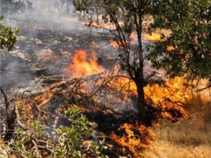 آتش‌سوزی ۴ منطقه ایوان مهار شد