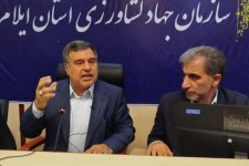 کشاورزی بستر توسعه پایدار و محور توسعه استان ایلام است