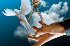  اولیای دم در ایلام از قصاص فرزند خود صرف‌نظر کردند