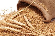 پرداخت ۲ میلیارد ریال زکات توسط مردم سیروان