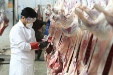 گوشت موردنیاز را از مراکز مورد تأیید باید تهیه شود