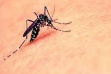 توصیه‌هایی برای جلوگیری از ابتلا به تب دنگی