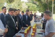 هزار میدان برای تولید؛ فرصت برای رونق تولید در ایلام