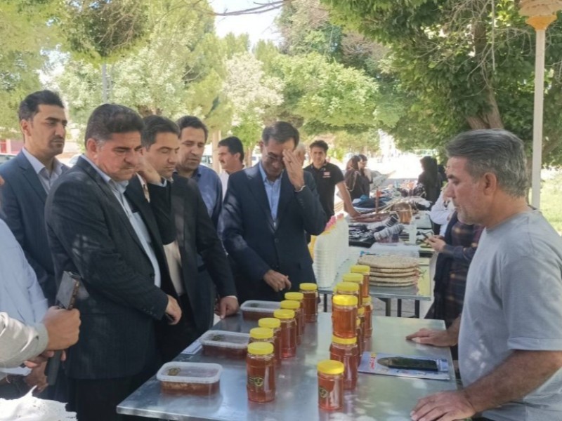 هزار میدان برای تولید؛ فرصت برای رونق تولید در ایلام
