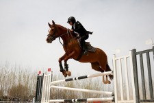 تمام فکرمان پارالمپیک لس‌آنجلس است