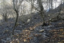 آتش‌سوزی ارتفاعات هلیلان مهار شد