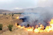 ۶۸ هکتار از اراضی ایلام دچار حریق شد