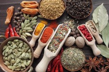 گیاهان دارویی ثروتی فراموش شده در ایلام