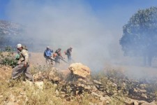  آتش سوزی ارتفاعات سیروان مهار شد