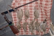 شکارچیان غیرمجاز در دره‌شهر دستگیر شدند