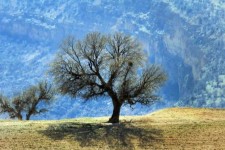 حفظ منابع طبیعی یک امر همگانی است