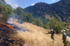 آتش‌سوزی جنگل‌های کبیر کوه مهار اولیه شد