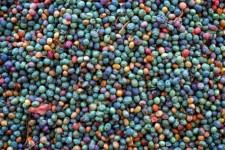 نقش گیاهان دارویی در طبیعت بکر ایلام