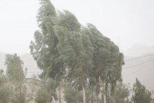 باد شدید، ایلام را فرامی‌گیرد