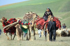 دره‌شهر قطب عشایری استان ایلام
