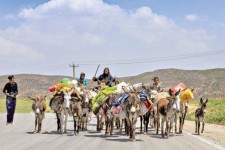 یک هزار ۳۰۰ کیلومتر راه ایلام بهسازی می‌شود