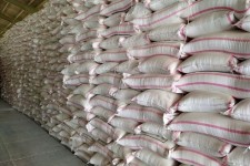 تأمین یک هزار تن کود برای کشاورزان ایلامی