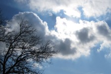 سردی هوا تا اواخر هفته ادامه دارد