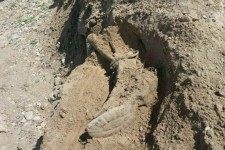 کشف پیکر پاک شهید در دهلران