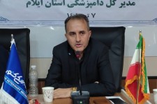 مایه‌کوبی ۳ هزار و ۲۰۰ رأس گوساله در ایلام