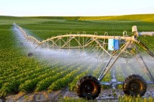 سرشماری کشاورزی ایلام فرصتی برای رونق اقتصادی