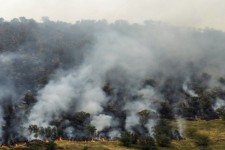 ۶۵ هکتار از عرصه‌های ایلام طعمه آتش شد