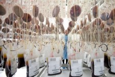 ۱۵۰۰ نمونه خون بندناف ذخیره شد