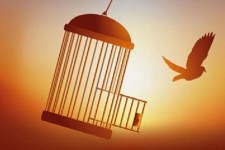 آزادی ۴ زندانی جرائم غیرعمد در ایلام