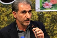 دهلران پیشران تولید کلزا در ایلام است