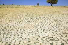 ترخینه چاشنی سلامتی از دل تاریخ ایلامیان