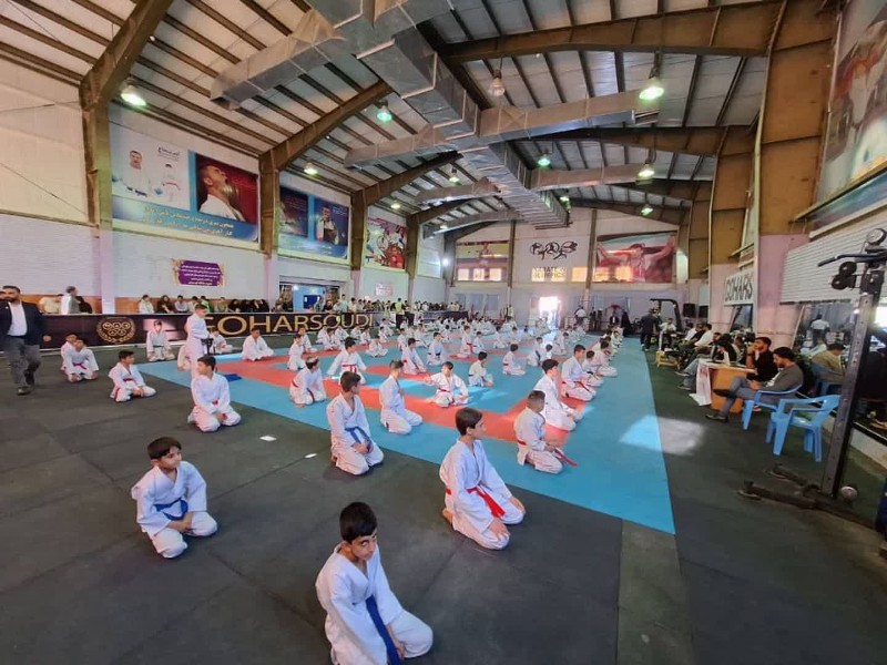 ایلام ۳۷ هزار و ۸۰۰ ورزشکار دارد