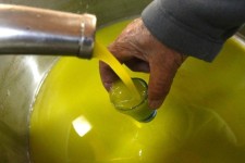 کارگاه تولید روغن‌زیتون در ایلام راه‌اندازی شد