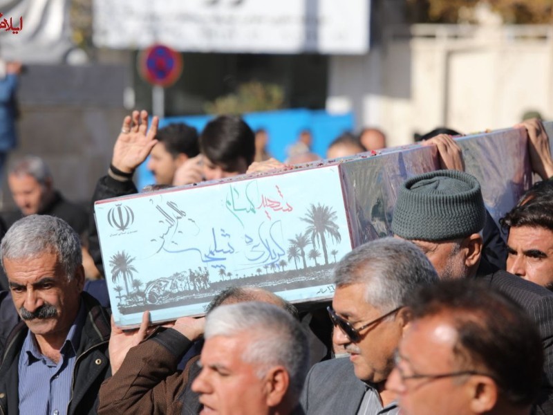 عطر لاله‌های زهرایی در ایلام پیچید