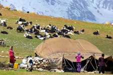 فرصت‌های اقتصادی عشایر در ایلام