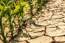 ایلام بیشترین فرسایش خاک در کشور دارد