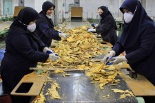 بانوان، منبع الهام و پیشرفت در جامعه