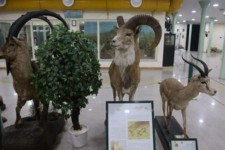 ۲ هزار ۷۰۰ نفر از موزه ایلام بازدید کردند