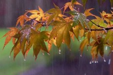 نغمه‌ای از هوای زمستانه در مسیر ملکشاهی