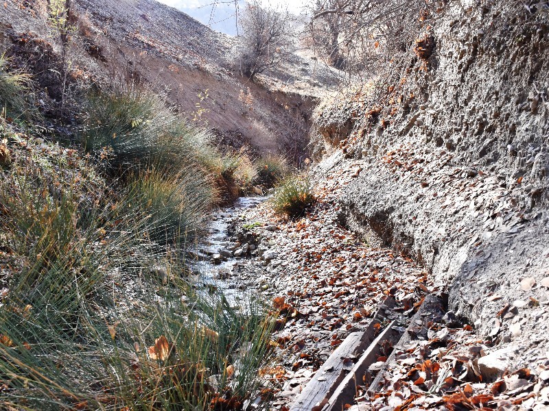 زیبایی‌های پنهان ملکشاهی در فصل زمستان