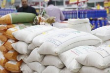 عرضه ۱۸۸۷ تُن برنج در ایلام