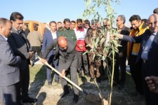 برگزاری پویش کاشت نهال ۱۲ شهرستان ایلام
