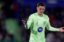 گاوی تحقیرمان کرد جوابش را دادیم