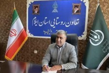 ظرفیت‌های کاشت چغندرقند توسط شرکت‌های تعاونی ایلام