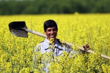 چشم‌انداز کلزایی، زیبایی‌های پنهان روستای بانرحمان