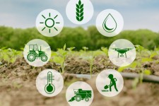 ایلام سرزمین فرصت‌های نوین کشاورزی