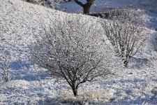 ادامه ناپایداری جوی تا چهارشنبه در ایلام